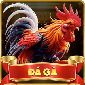 Đá gà cựa sắt